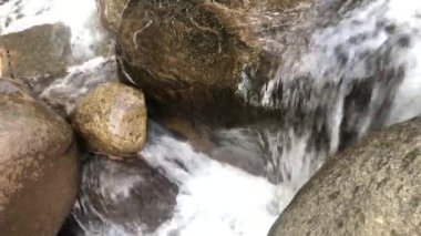 Nehir berrak su, doğal taşlar, sabah atmosferi.