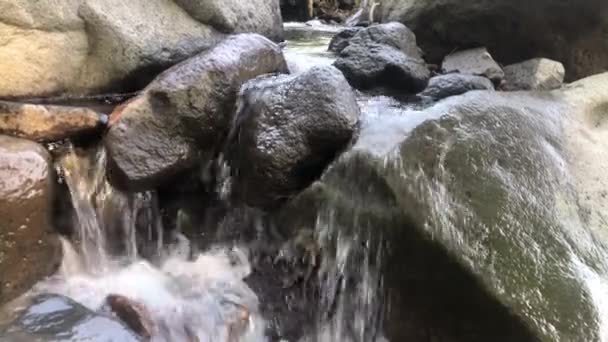 Річка Чистою Водою Природні Камені Ранкова Атмосфера — стокове відео