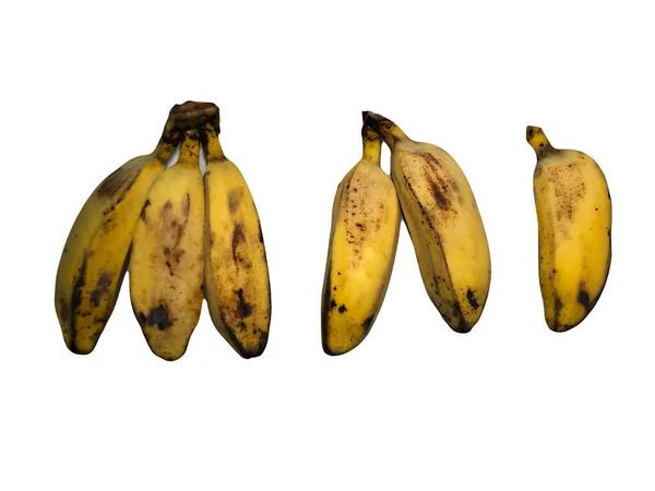 인도네시아에서 노란케 바나나 Yellow Kepok Bananas Pisang Kepok 배경에서 수있다 — 스톡 사진