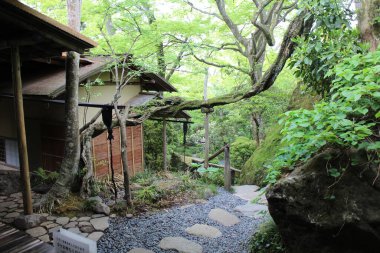 Hakone, Japonya 'daki Gora Park