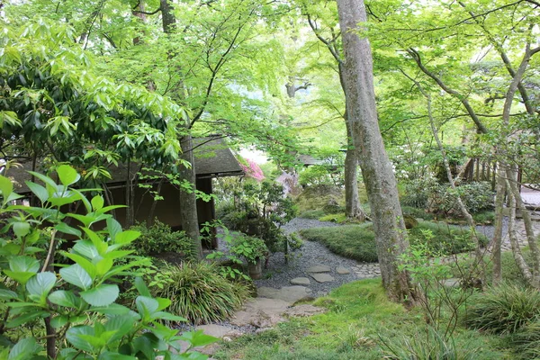 箱根の強羅公園 — ストック写真