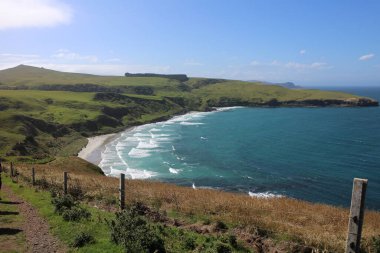 Dunedin, Yeni Zelanda 'daki Otago Yarımadası