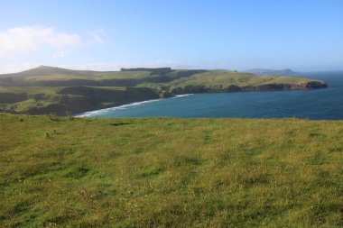 Dunedin, Yeni Zelanda 'daki Otago Yarımadası