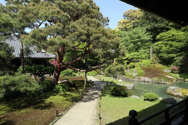 Японський Сад Храму Шорен Кіото Японія — стокове фото