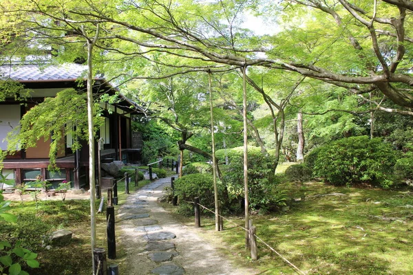 Японский Сад Храма Шорен Киото Япония — стоковое фото