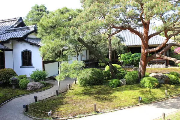 Japanilainen Shoren Temppelin Puutarha Kiotossa Japanissa — kuvapankkivalokuva
