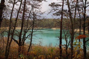 Bentennuma göleti manzarası ve Goshikinuma, Urabandai, Fukushima, Japonya 'da sonbahar yaprakları