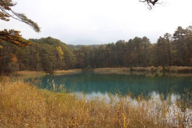 Goshikinuma, Urabandai, Fukushima, Japonya 'da Rurinuma göleti ve sonbahar yaprakları manzarası