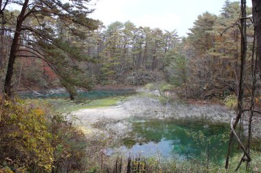 Goshikinuma, Urabandai, Fukushima, Japonya 'da Aonuma göleti ve sonbahar yaprakları manzarası