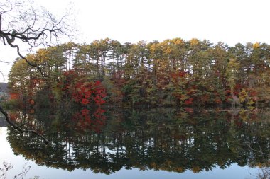 Yanaginuma göleti manzarası ve Goshikinuma, Urabandai, Fukushima, Japonya 'da sonbahar yaprakları