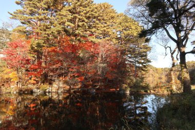 Yanaginuma göleti manzarası ve Goshikinuma, Urabandai, Fukushima, Japonya 'da sonbahar yaprakları