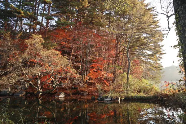 Yanaginuma gölünün sabah manzarası ve sonbahar yaprakları Goshikinuma, Urabandai, Fukushima, Japonya