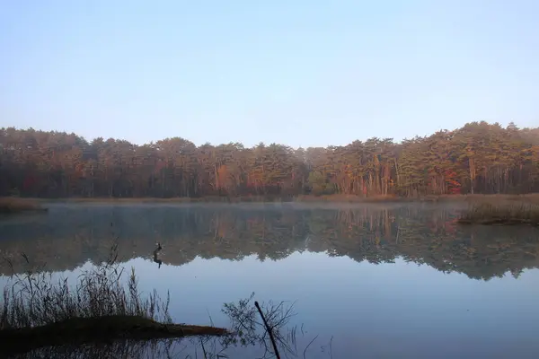 Early morning scenery of Bentennuma pond and autumn leaves in Goshikinuma, Urabandai, Fukushima, Japan