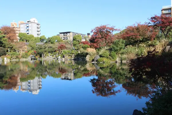 Ingetsu Gölü ve sonbahar yaprakları Shosei-en Bahçesinde, Kyoto, Japonya