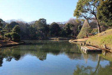 Rikugien Bahçesinde Daisensui Pond ve Yukitsuri (kar asılı), Tokyo, Japonya