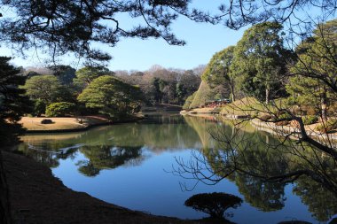 Rikugien Garden, Tokyo, Japonya 'daki Daisensui Gölü