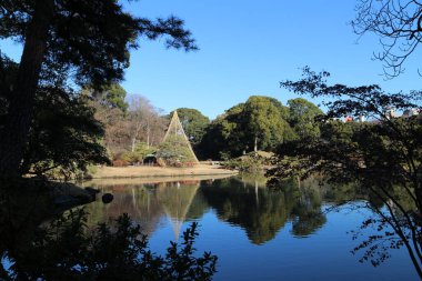 Rikugien Bahçesinde Daisensui Pond ve Yukitsuri (kar asılı), Tokyo, Japonya