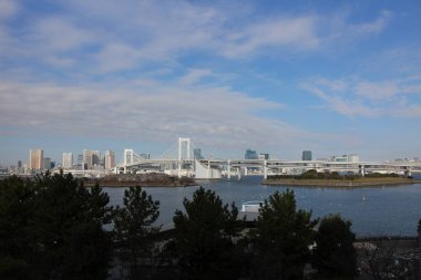Tokyo, Japonya 'daki Odaiba Sahil Parkı' ndan gökkuşağı Köprüsü