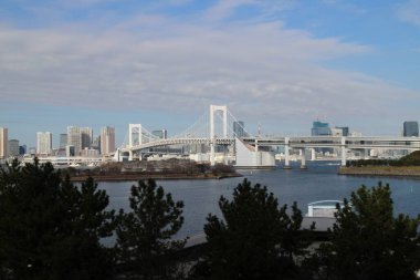 Tokyo, Japonya 'daki Odaiba Sahil Parkı' ndan gökkuşağı Köprüsü