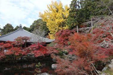 Kannon-do, Benten-ike Pond and autumn leaves in Daigoji Temple, Kyoto, Japan clipart