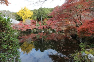 Benten-Ike Göleti ve sonbahar yaprakları Daigoji Tapınağı, Kyoto, Japonya