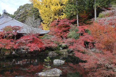 Kannon-do, Benten-ike Pond and autumn leaves in Daigoji Temple, Kyoto, Japan clipart