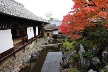 Japon bahçesi ve sonbahar yaprakları Daigoji Tapınağı Sanbo-in, Kyoto, Japonya