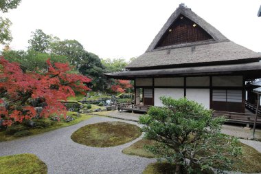Japon bahçesi ve sonbahar yaprakları Daigoji Tapınağı Sanbo-in, Kyoto, Japonya