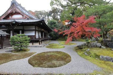 Japon bahçesi ve sonbahar yaprakları Daigoji Tapınağı Sanbo-in, Kyoto, Japonya