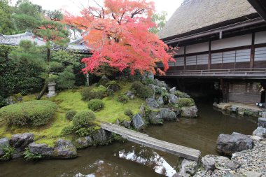 Japon bahçesi ve sonbahar yaprakları Daigoji Tapınağı Sanbo-in, Kyoto, Japonya