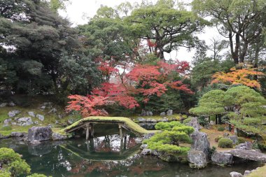 Japon bahçesi ve sonbahar yaprakları Daigoji Tapınağı Sanbo-in, Kyoto, Japonya