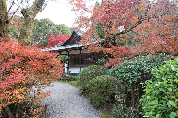 Japonya 'daki Daigoji Tapınağı' nda sonbahar yaprakları