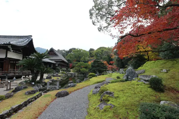 Japon bahçesi ve sonbahar yaprakları Daigoji Tapınağı Sanbo-in, Kyoto, Japonya