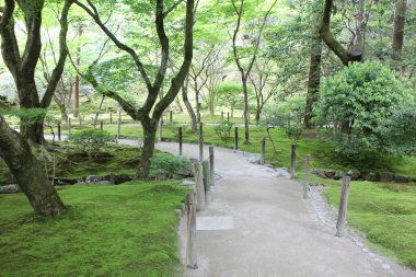 Japonya, Kyoto 'daki Ginkakuji Tapınağı' nda yosun bahçesi.