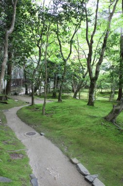 Japonya, Kyoto 'daki Ginkakuji Tapınağı' nda yosun bahçesi.