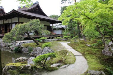 Japonya, Kyoto 'daki Ginkakuji Tapınağı' nda yosun bahçesi.