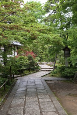 Japonya, Kyoto 'daki Jojakko-ji Tapınağında taze yeşil