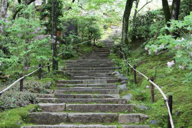 Japonya, Kyoto 'daki Jojakko-ji Tapınağında taze yeşil