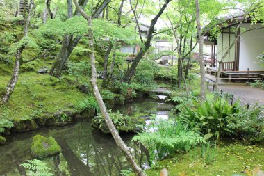 Japonya, Kyoto 'daki Jojakko-ji Tapınağında taze yeşil