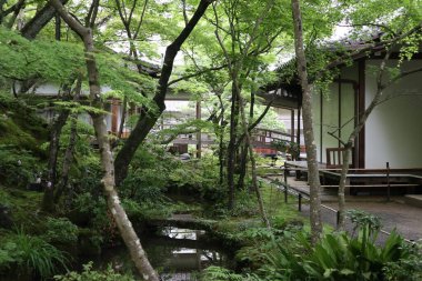 Fresh green in Jojakko-ji Temple in Kyoto, Japan clipart