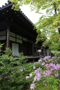 Japonya, Kyoto 'daki Jojakko-ji Tapınağı' ndaki ana salon.