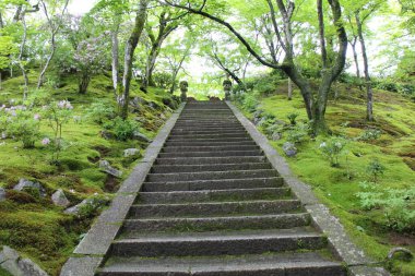 Japonya, Kyoto 'daki Jojakko-ji Tapınağında taze yeşil