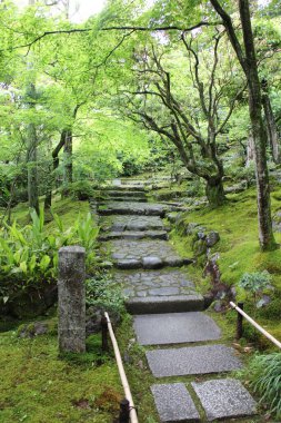 Japonya, Kyoto 'daki Jojakko-ji Tapınağında taze yeşil