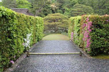 Katsura 'daki Sumiyoshi Çam Ağacı İmparatorluk Köşkü, Kyoto, Japonya