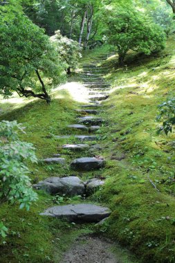 Shugakuin İmparatorluk Villasında taze yeşil, Kyoto, Japonya