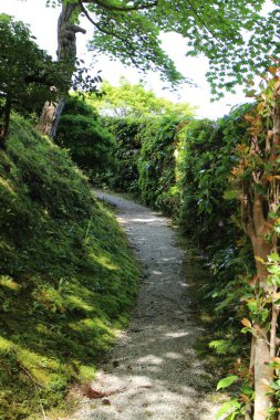Shugakuin İmparatorluk Villasında taze yeşil, Kyoto, Japonya