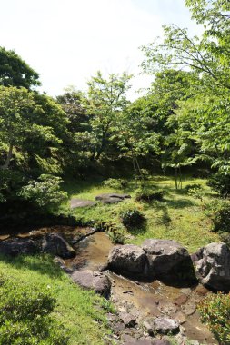 Shugakuin İmparatorluk Villasında taze yeşil, Kyoto, Japonya