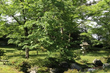 Fresh green in Lower Villa of Shugakuin Imperial Villa, Kyoto, Japan clipart