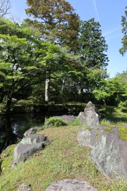 Shugakuin İmparatorluk Villasında taze yeşil, Kyoto, Japonya