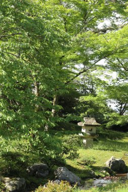 Shugakuin İmparatorluk Villasında taze yeşil, Kyoto, Japonya